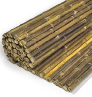 Bambou naturel 180x180cm